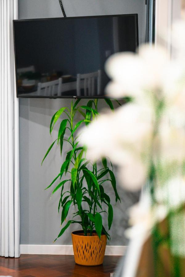 Rose House By Atlantic Apartment